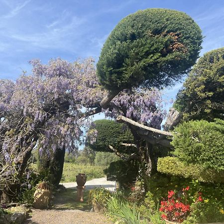 La Maison De Justine Grimaud Exteriér fotografie