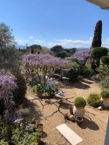 La Maison De Justine Grimaud Exteriér fotografie