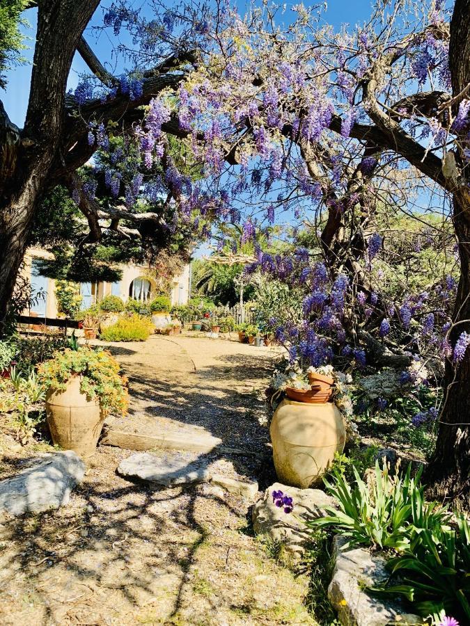 La Maison De Justine Grimaud Exteriér fotografie
