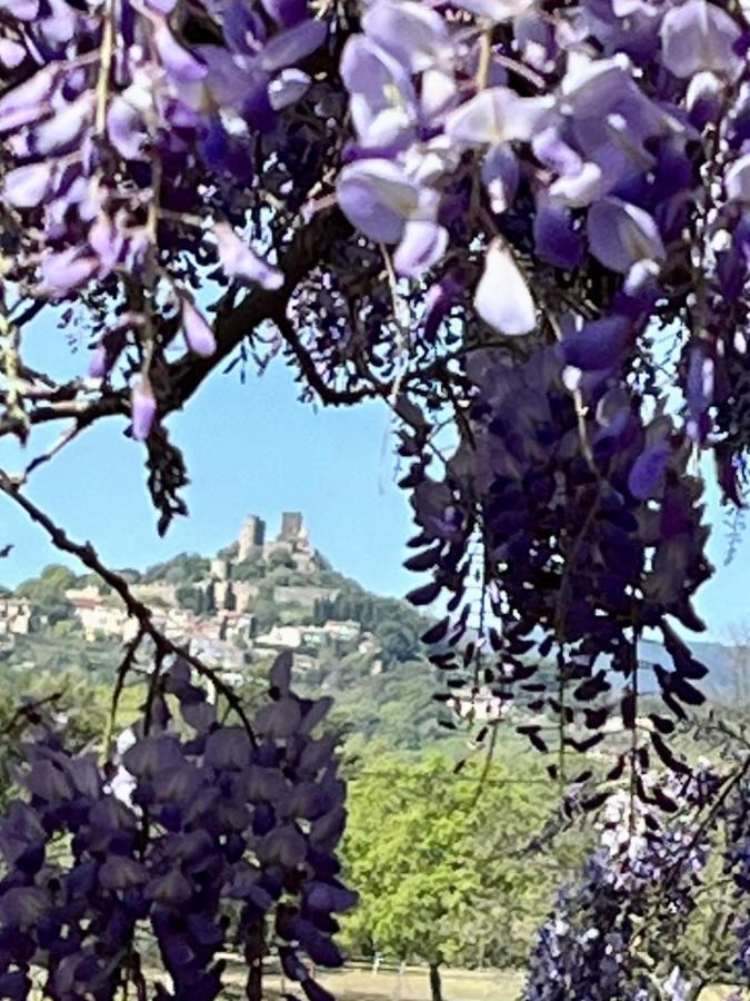 La Maison De Justine Grimaud Exteriér fotografie