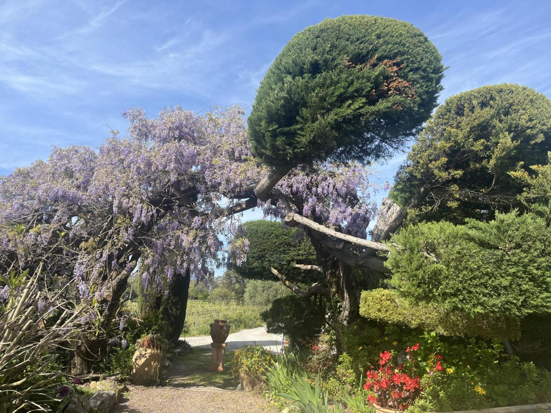La Maison De Justine Grimaud Exteriér fotografie